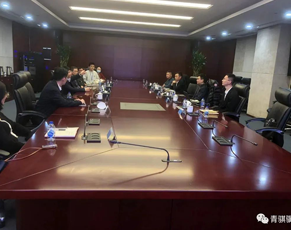 ��ʨ���߰ݷû����ع�