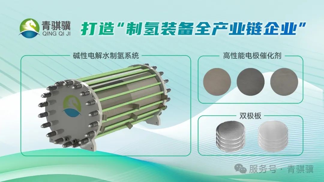 ��ʨ����2025�꿪�ź� �ɹ��б��������������Ŀ